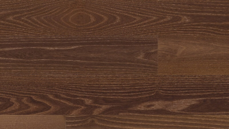 ACACIA CHARACTER